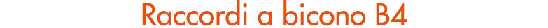 Raccordi a bicono B4